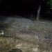 Hailstorm Wreaks Havoc to Orchards, Crops Across Ajas, Its Adjoining Villages in Bandipora