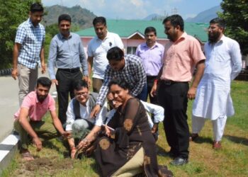 DIPR organises plantation drive under ‘Meri Mitti Mera Desh’ campaign