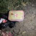 IED Inside Tiffin Box With Timer Found On NHW In Jammu: Police