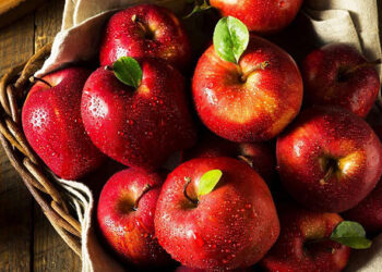 Heavy flow of Iranian apples in Indian markets cast ‘shadow’ on Kashmir’s apple industry