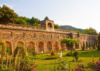 56 monuments in J&K being preserved by Archaeological Survey of India: Senior Archaeologist