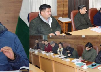 Director Information for optimum use of digital platforms to educate people on govt initiatives