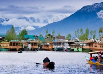 J&K Blossoms: Le Figaro Chronicles the Enchanting Transformation of Kashmir