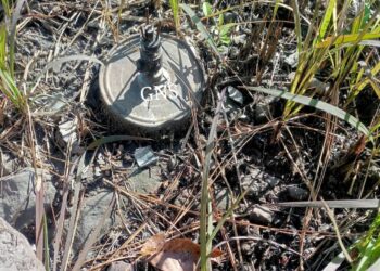 Army Detects 2 Landmines Along LoC In Poonch