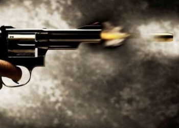 Terrorists attack non-local driver in Shopian