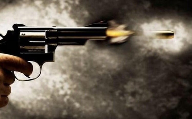 Terrorists attack non-local driver in Shopian