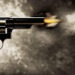 Terrorists attack non-local driver in Shopian