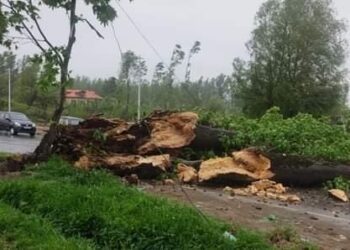 Strong winds hit North Kashmir parts, no causalities reported