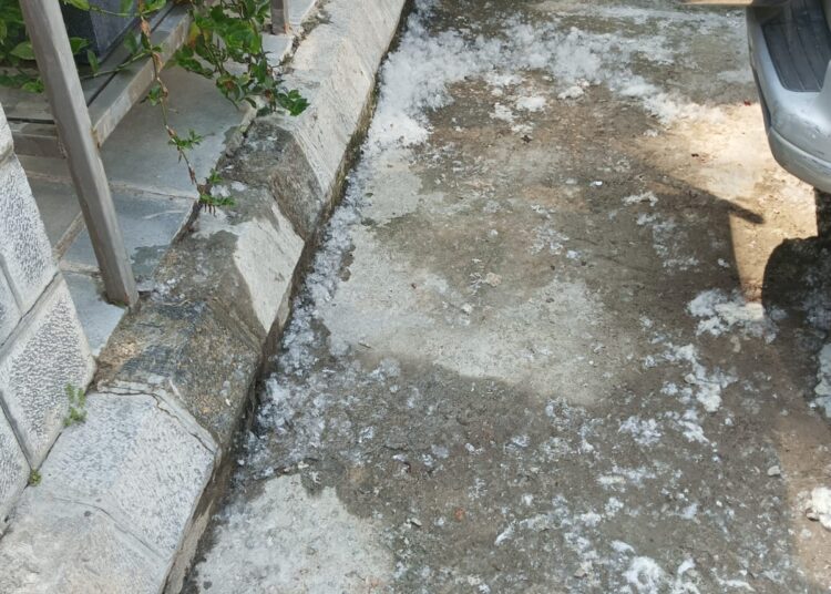 Cotton fluff from poplar trees causes respiratory issues, Srinagar residents call for immediate action