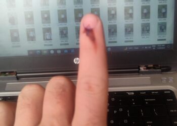Lok Sabha Polls: Baramulla records over 35% voter turnout till 1 pm