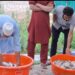 Over 2500 trout fish perish due to blockage of water in Budgam