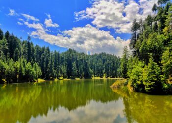 Tourist footfall surges in Kashmir amidst rising temp across India