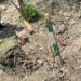 Two Rusted Shells Found, Destroyed By Security In Jammu