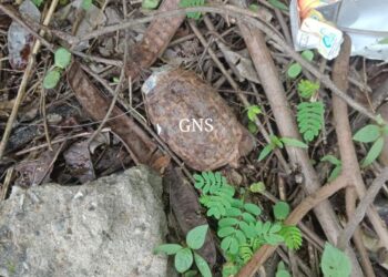 Rusted Old Grenade Found In Janipur Jammu