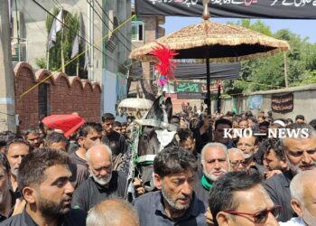 Zuljanah procession begins as Shia mourners march from Bota Kadal to Zadibal