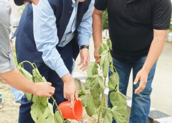 DIPR celebrates Swachhta Pakhwada Director Information leads plantation, cleanliness drives