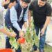 DIPR celebrates Swachhta Pakhwada Director Information leads plantation, cleanliness drives