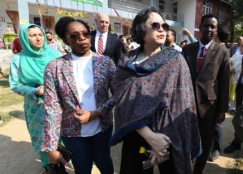 Foreign diplomats make surprise landing in Kashmir amid polls, ‘Our purpose to observe polling, see how democracy works on ground’