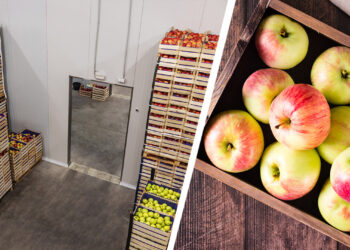 Apple storage rates reduced in Kashmir amid decline in production