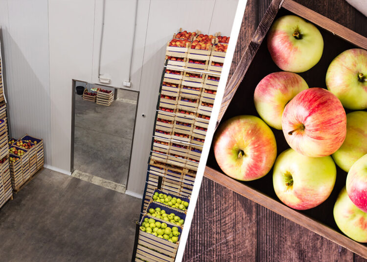 Apple storage rates reduced in Kashmir amid decline in production