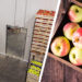 Apple storage rates reduced in Kashmir amid decline in production