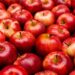 Kashmir dispatches 9 lakh metric tons of fruit worth Rs 600 crores in last 4 months