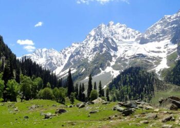 Kashmir’s first snowfall sparks surge in tourism as visitors flock scenic destinations