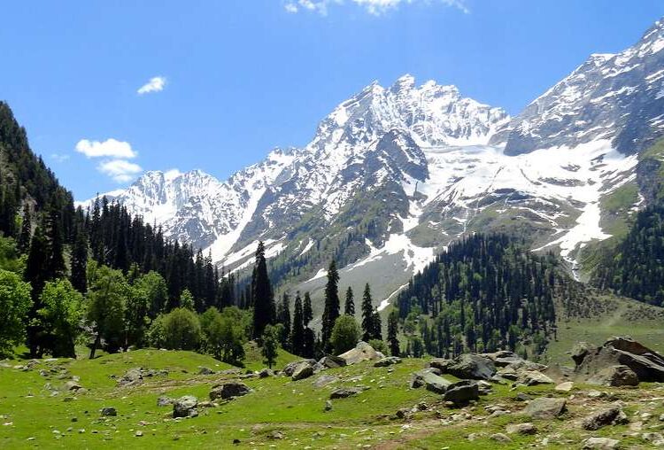 Kashmir’s first snowfall sparks surge in tourism as visitors flock scenic destinations