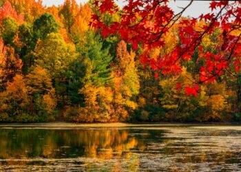 Autumn makes Kashmir more attractive