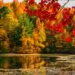 Autumn makes Kashmir more attractive