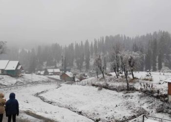 Gulmarg, Gurez receive fresh snowfall, weather to improve from today afternoon