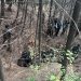 Militant Hideout Busted In Kunzer Baramulla, Incriminating Material Recovered: Police