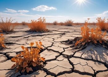 Dry Weather: Water level drops in Sgr reservoirs, affect supply across many areas