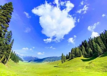 J&K spent Rs 679 crore on afforestation efforts in five years