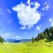 J&K spent Rs 679 crore on afforestation efforts in five years