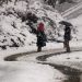 Kashmir parts record season’s first snowfall