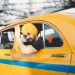 Punjabi Singer Diljit Dosanjh in Kashmir, calls it ‘Heaven on Earth’