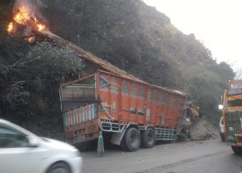 Driver Killed, Helper Injured After Tree Branch Falls On Their Truck In Ramban