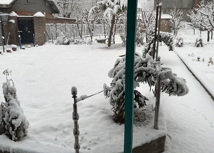 Snowfall in Kashmir