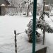 Snowfall in Kashmir