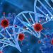 Mysterious disease claims another life at Budhal, Rajouri, toll 9