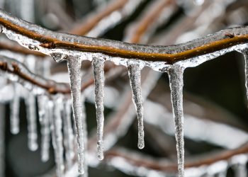 Night chill intensifies across Kashmir; Sgr records season’s coldest night at minus 4.1 degree Celsius