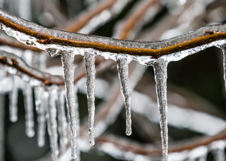 Night chill intensifies across Kashmir; Sgr records season’s coldest night at minus 4.1 degree Celsius