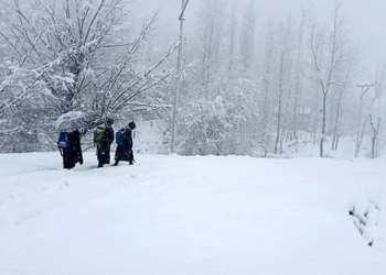 Chilla-i-Kalan: Severe cold exacerbates respiratory issues, say doctors; advise extra precautions