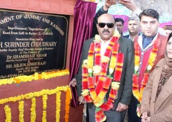 Dy CM conducts public darbar at Sana