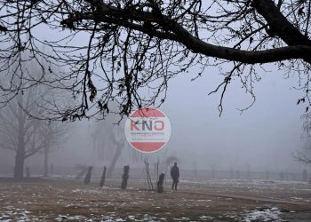 Dense fog disrupts flight operations at Srinagar airport