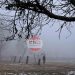 Dense fog disrupts flight operations at Srinagar airport