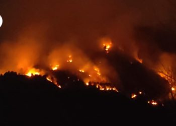 Massive forest fire breaks out in Ganderbal