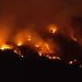 Massive forest fire breaks out in Ganderbal