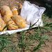 6.5 KG Heroin Like Substance Recovered In Rajouri, Two Suspects Apprehended